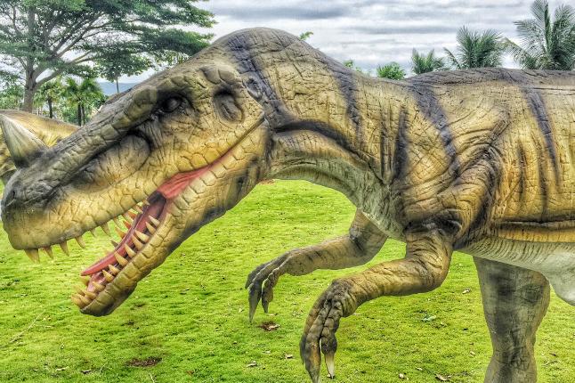 亚龙湾爱立方滨海乐园恐龙展之恐龙来了